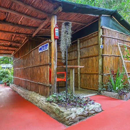 Gala Gala Eco Resort Понта-ду-Оуро Экстерьер фото
