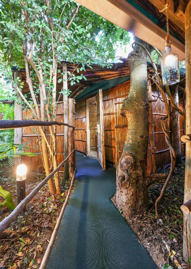 Gala Gala Eco Resort Понта-ду-Оуро Экстерьер фото