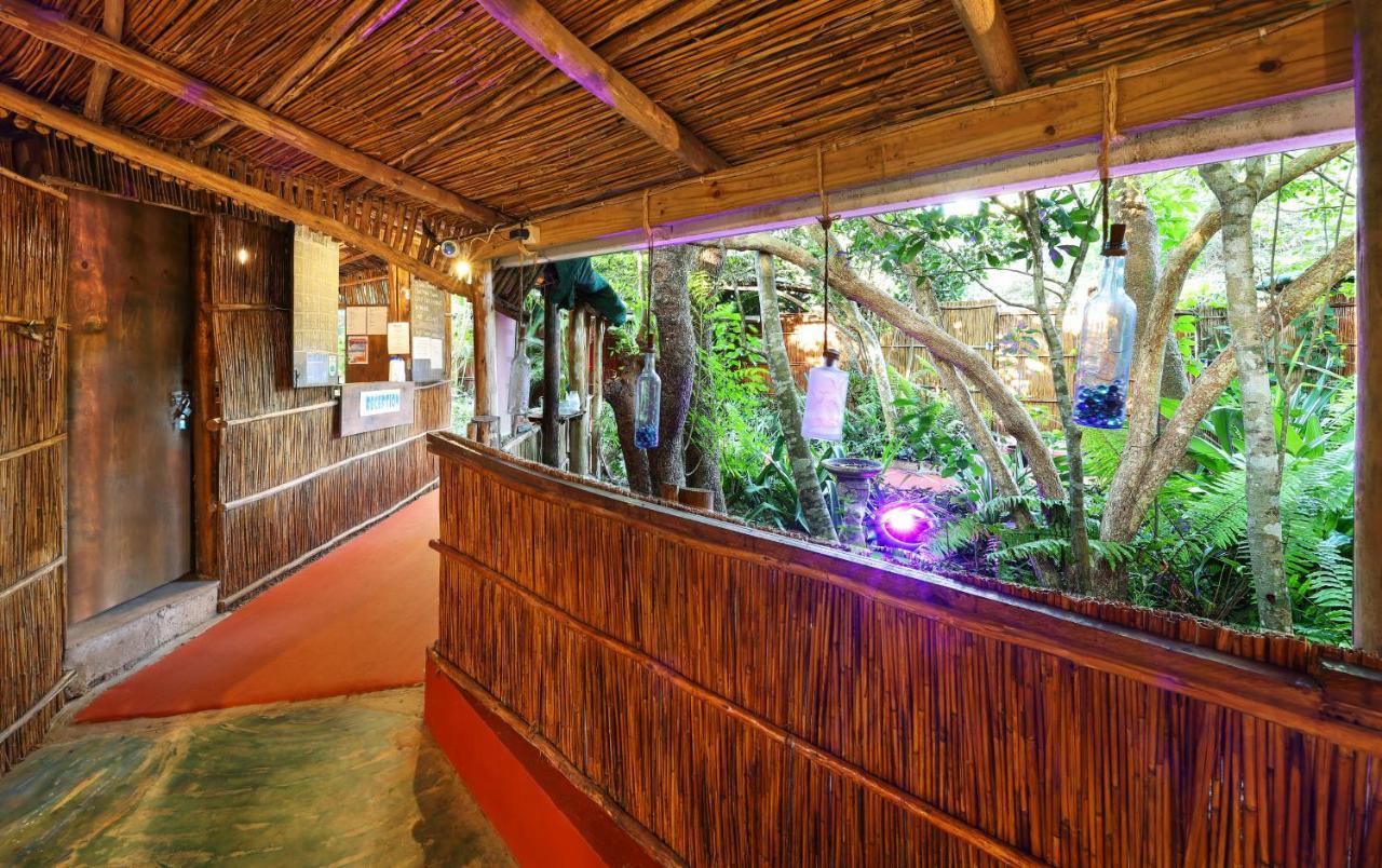 Gala Gala Eco Resort Понта-ду-Оуро Экстерьер фото