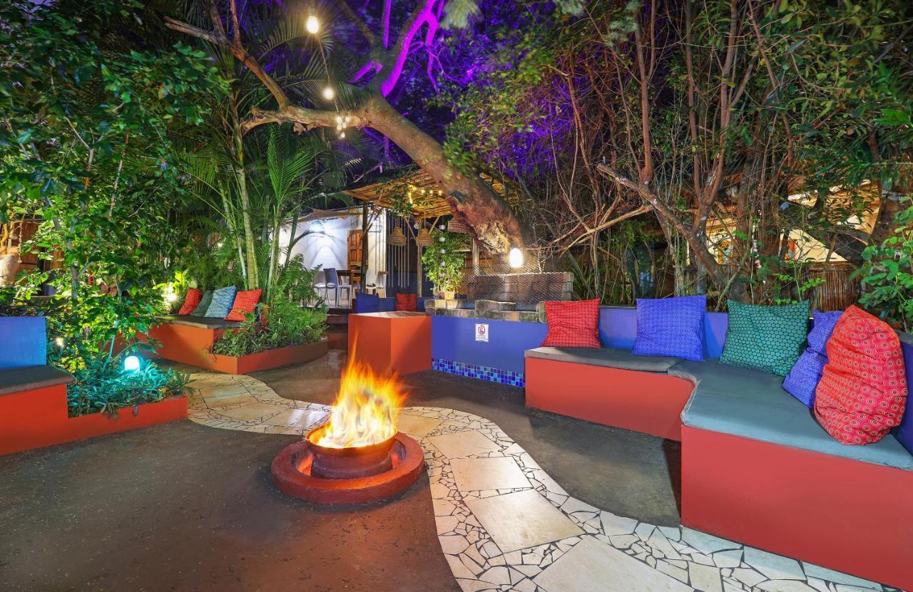 Gala Gala Eco Resort Понта-ду-Оуро Экстерьер фото